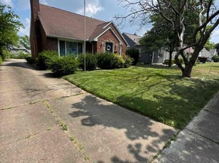 Jan S.'s turf maintenance service result