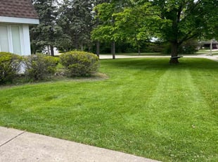 Terri B.'s turf maintenance service result