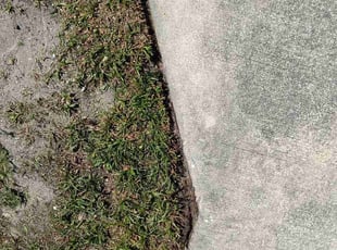 Mateus V.'s grass cutting service result