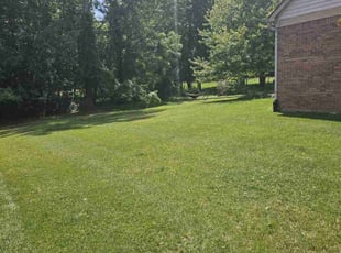 Anthony W.'s lawn care service result