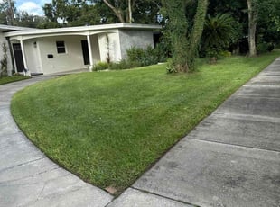 Marshall J.'s grass maintenance service result