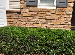 Teresa W.'s Bush Trimming service result