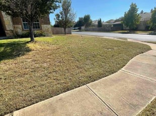 Eric B.'s lawn service service result