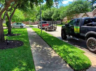 Antonette W.'s Tree Care service result