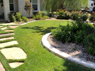 Susan Y.'s Lawn Mowing service result