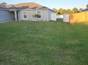 Itohan O.'s lawn care service result