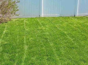 steve t.'s lawn service service result