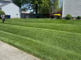 Tonya B.'s lawn care service result