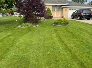 Tina W.'s grass maintenance service result