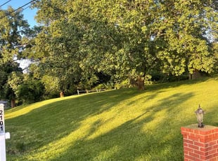 Terry P.'s lawn service service result
