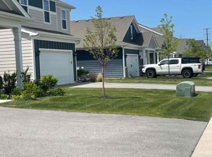 Caroline C.'s grass maintenance service result