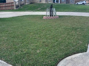 Toni A.'s lawn care services service result