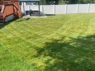 Ray M.'s grass maintenance service result