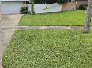 Vincent N.'s turf care service result
