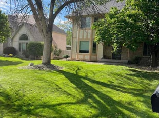 John C.'s turf care service result