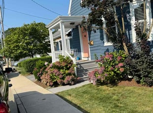 Amy D.'s grass cutting service result