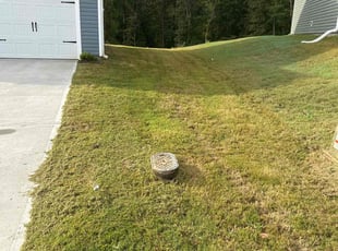 Sean O.'s grass maintenance service result
