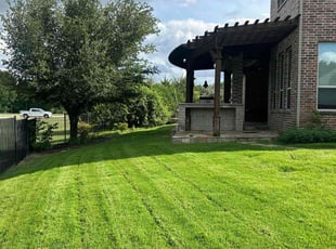 India B.'s lawn care service result