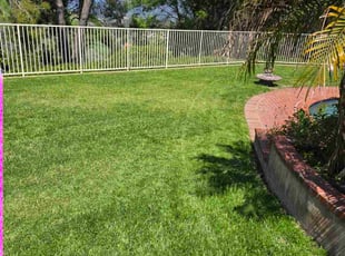 Steve H.'s lawn care service result