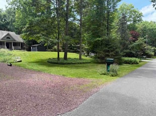 Colton D.'s turf maintenance service result