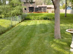 Brian A.'s grass cutting service result