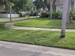 Cody D.'s lawn service service result