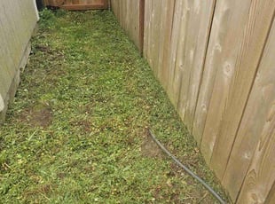 Tacarol B.'s grass maintenance service result