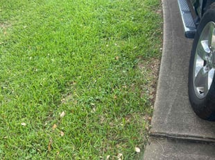 Jesus R.'s lawn maintenance service result