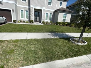 Alaeeddine T.'s lawn care service result