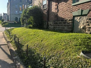 Jasmine G.'s turf care service result