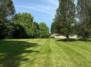 Rekha D.'s lawn maintenance service result