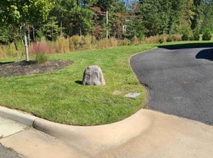 Cynthia E.'s lawn maintenance service result