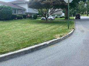 Benjamin M.'s lawn service service result