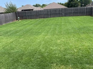 David K.'s grass maintenance service result
