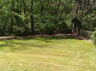 Sean O.'s lawn maintenance service result