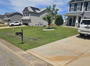 Taneasha H.'s turf maintenance service result