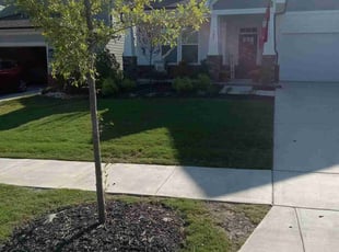 Max R.'s grass maintenance service result