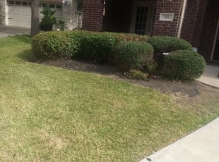 Donald P.'s Bush Trimming service result