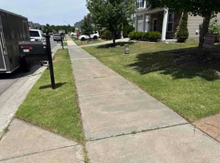Michael G.'s lawn care service result