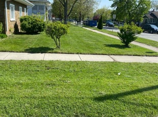 Latonya W.'s lawn service service result