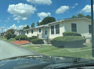Lotanna O.'s lawn care service result