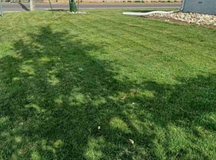 John A.'s grass cutting service result