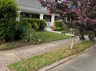 Janakiran S.'s lawn maintenance service result