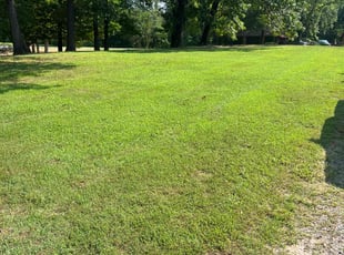Angela B.'s lawn service service result