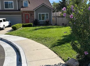 Shaun M.'s lawn care services service result
