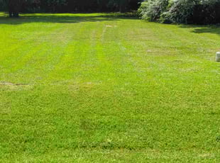 Beverly W.'s lawn service service result