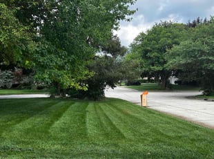 Sharon T.'s lawn care service result