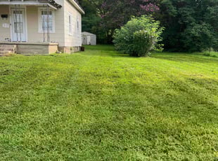 Kevin F.'s lawn maintenance service result