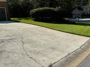 Reginald K.'s turf maintenance service result