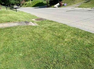 Regina J.'s lawn service service result